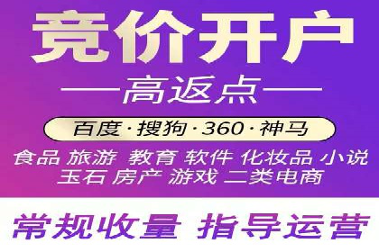 网络推广与竞价广告：双管齐下的策略案例